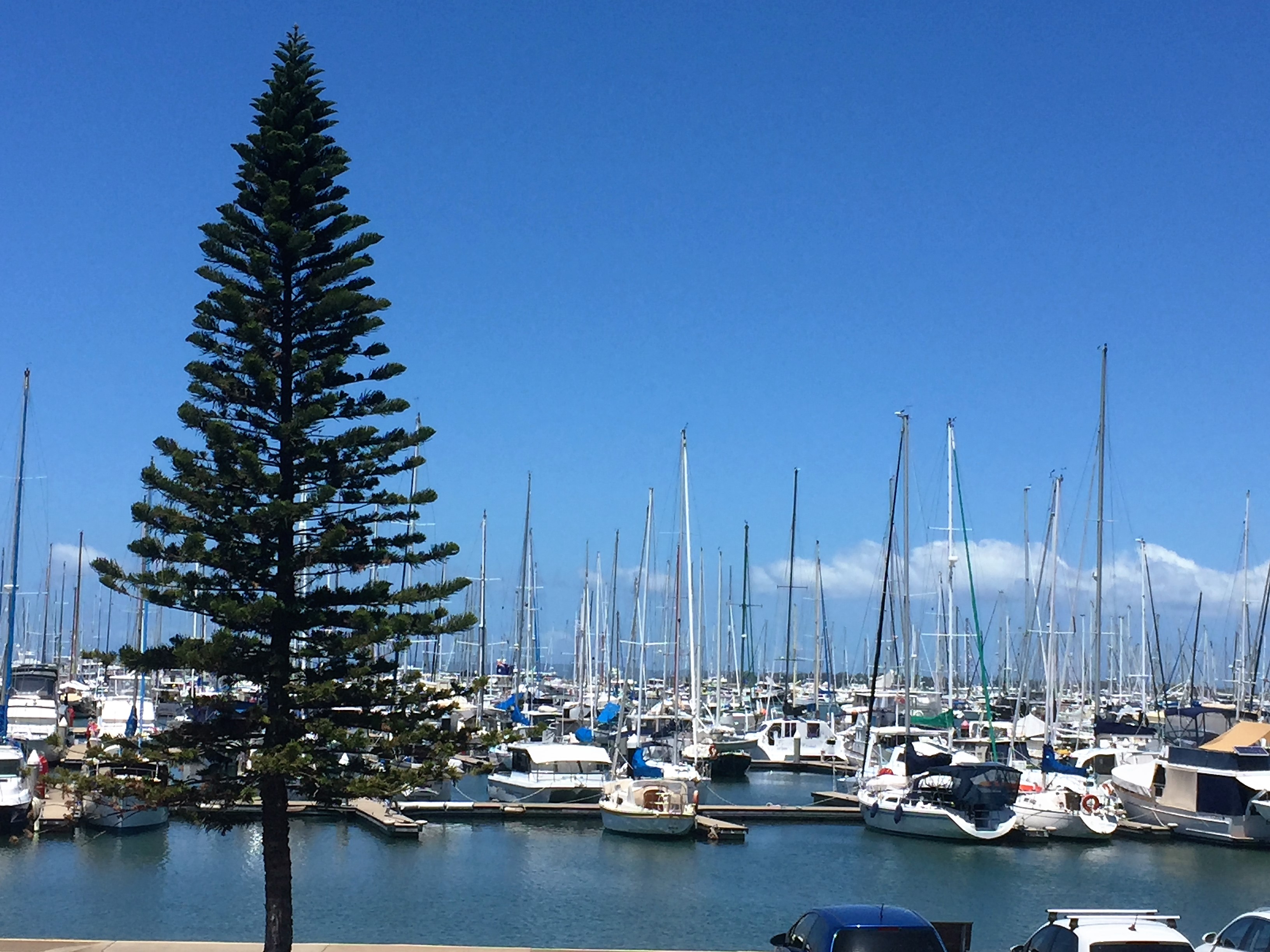 Manly, on Moreton Bay, was a great place to escape the heatwave 
