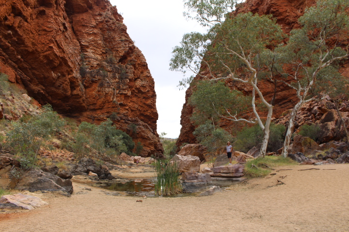 Alice Springs: The Gateway to Central Australia.