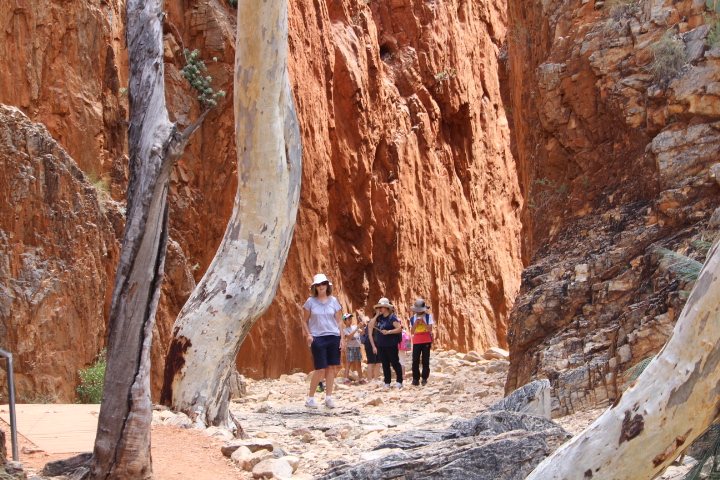 Alice Springs: Gateway to Central Australia.