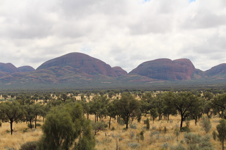 Rocking the Red Centre of Australia.