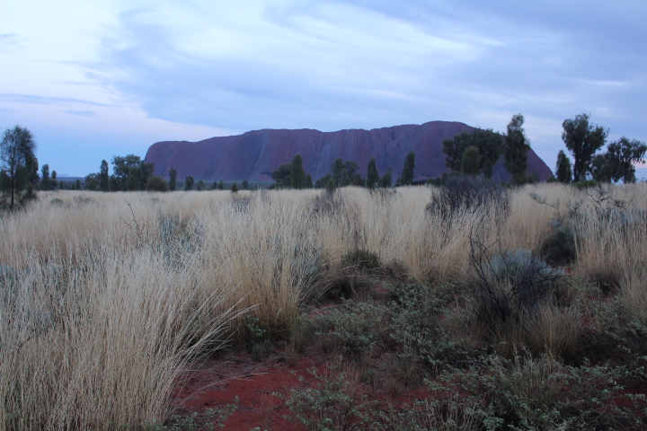 Rocking the Red Centre of Australia.