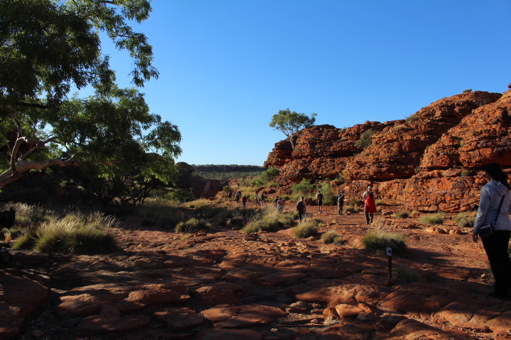 Rocking the Red Centre of Australia.