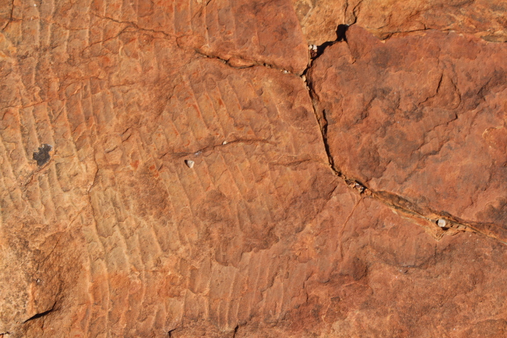 Rocking the Red Centre of Australia.