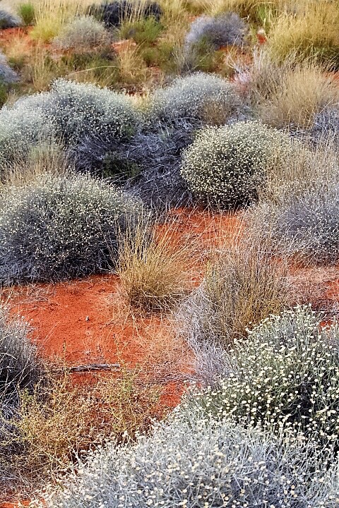 Rocking the Red Centre of Australia.