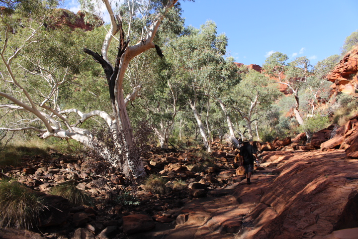 Rocking the Red Centre of Australia.