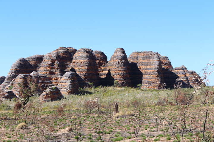 Review of Bungle Bungle 4WD Bus Day Tour
