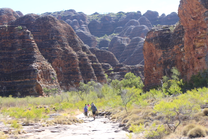 bungle bungle 4wd bus day tour