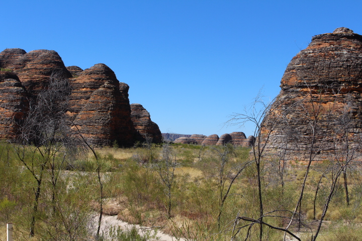 Review of Bungle Bungle 4WD Bus Day Tour.