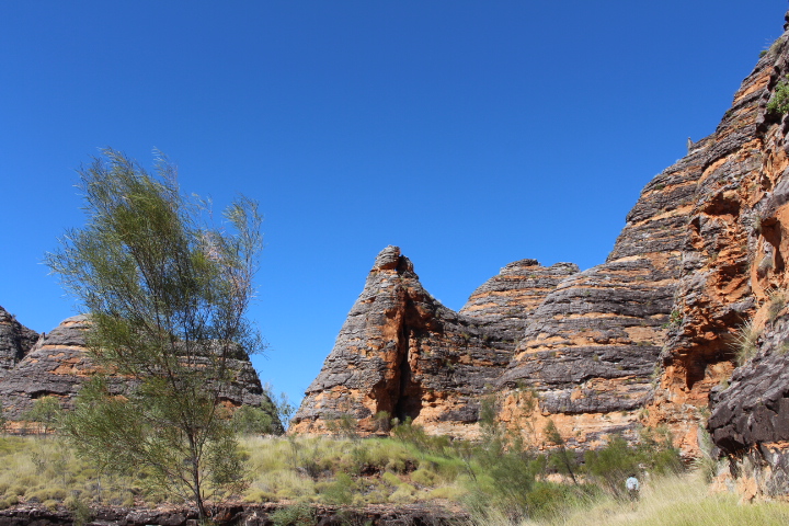Review of Bungle Bungle 4WD Bus Day Tour