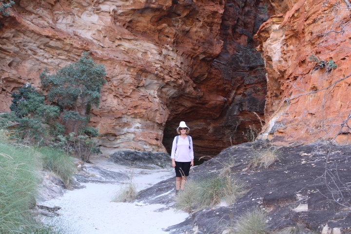 Review of Bungle Bungle 4WD Bus Day Tour