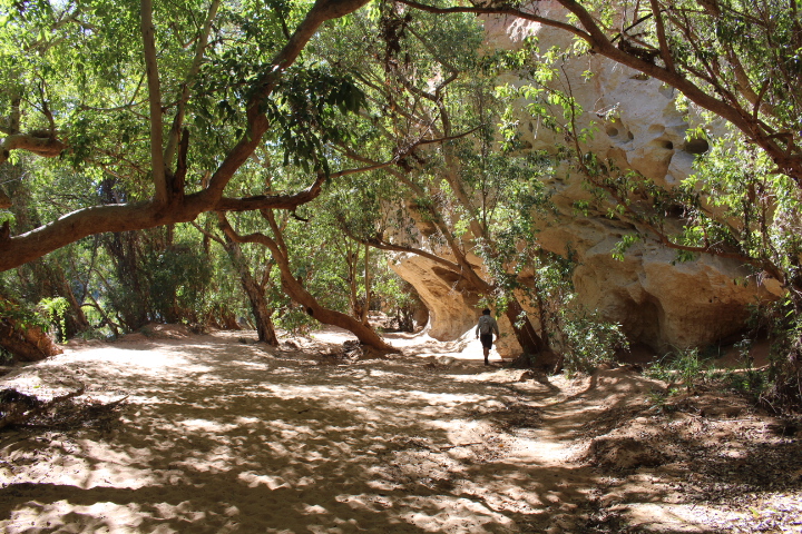 The Kimberley: Visit Geikie Gorge, Windjana Gorge and Tunnel Creek.