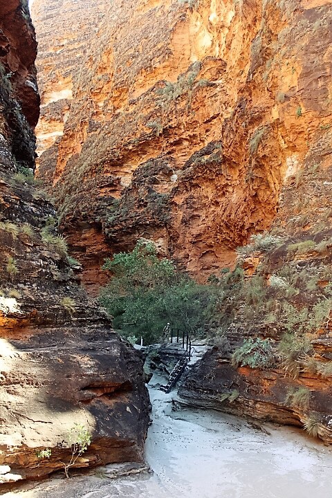 bungle bungle 4wd bus day tour