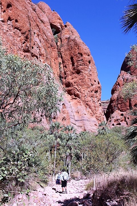 Review of Bungle Bungle 4WD Bus Day Tour. 