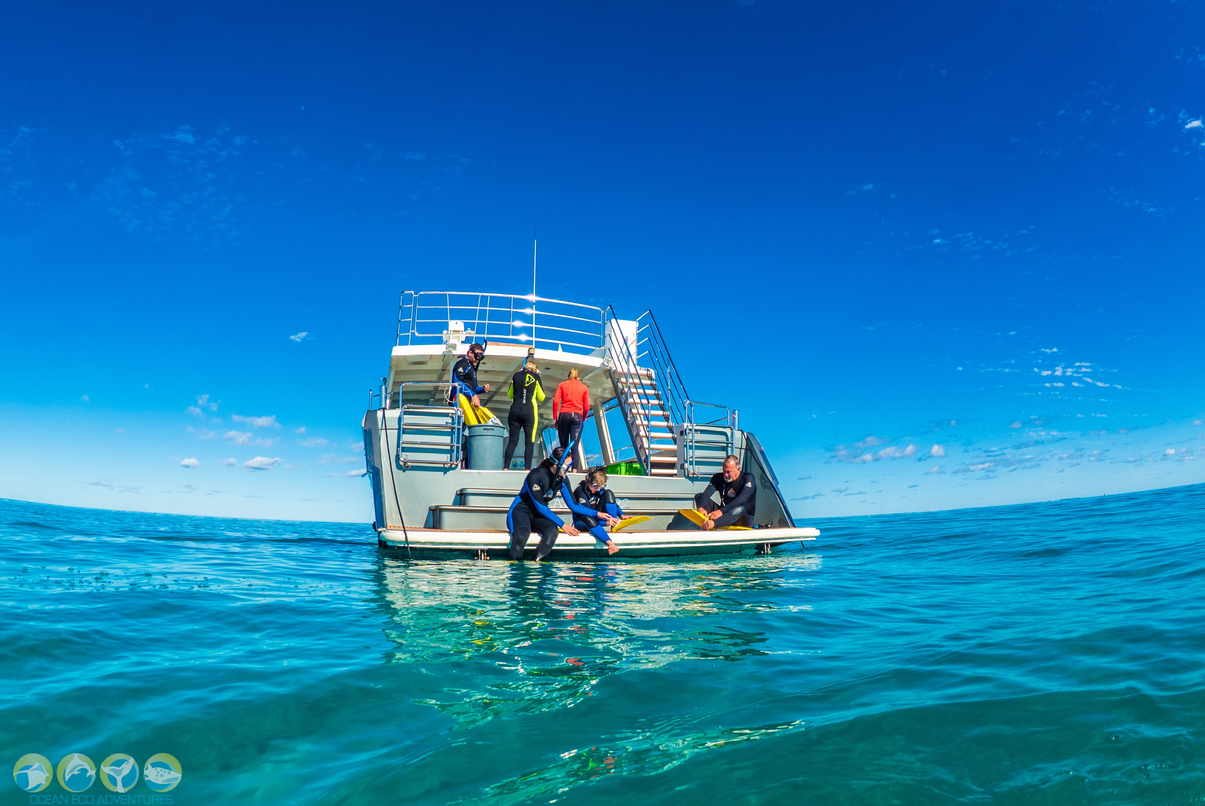 Review Of Ocean Eco Adventures Whale Shark Tour, Exmouth Western Australia.