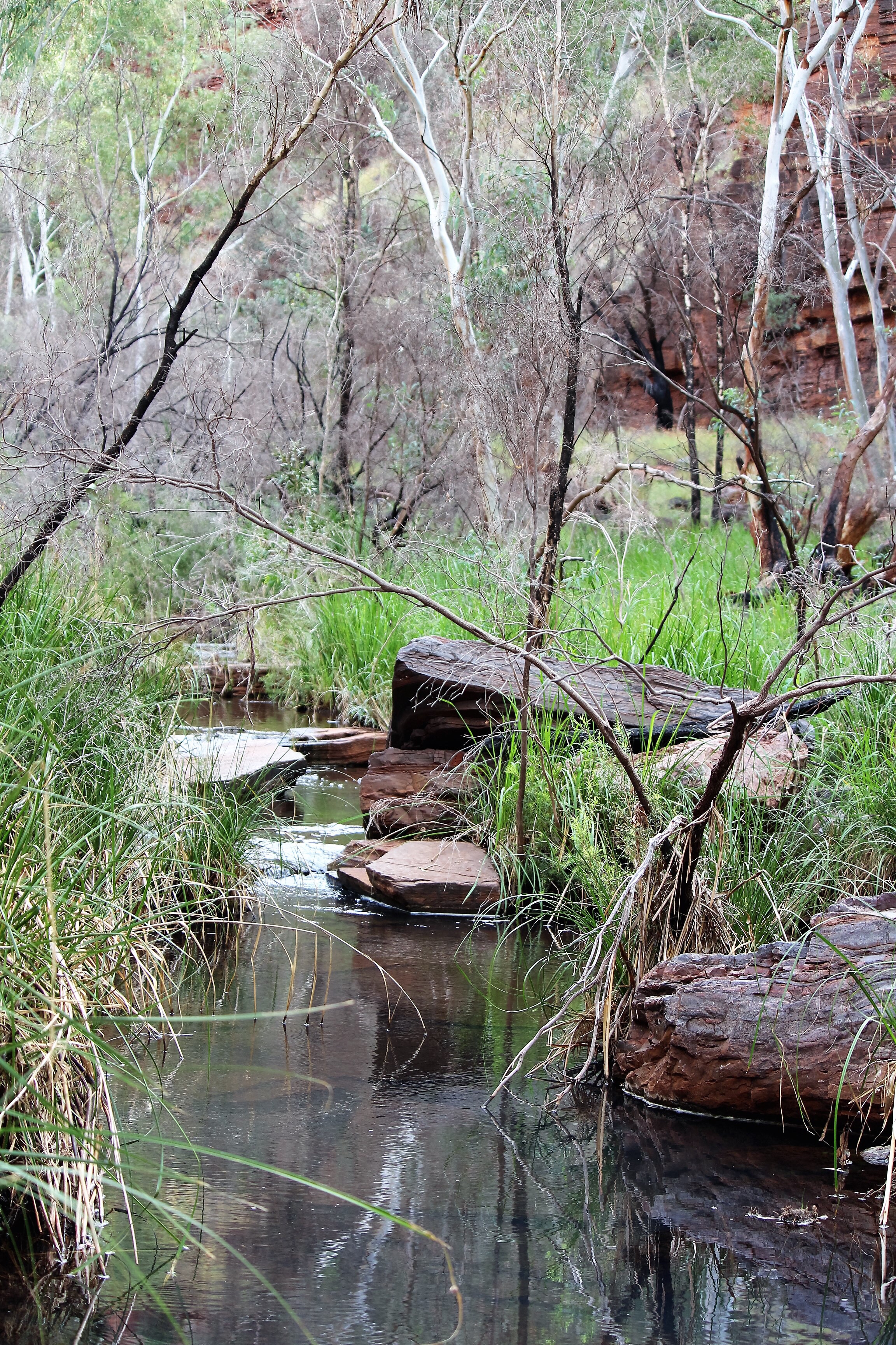 6 Reasons To Visit Karijini National Park