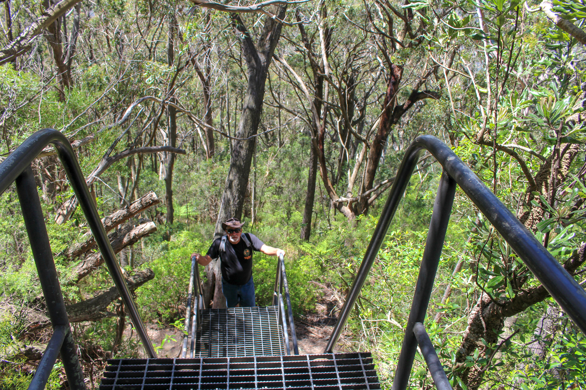 Ladder On Pigeon House Mountain Didthul