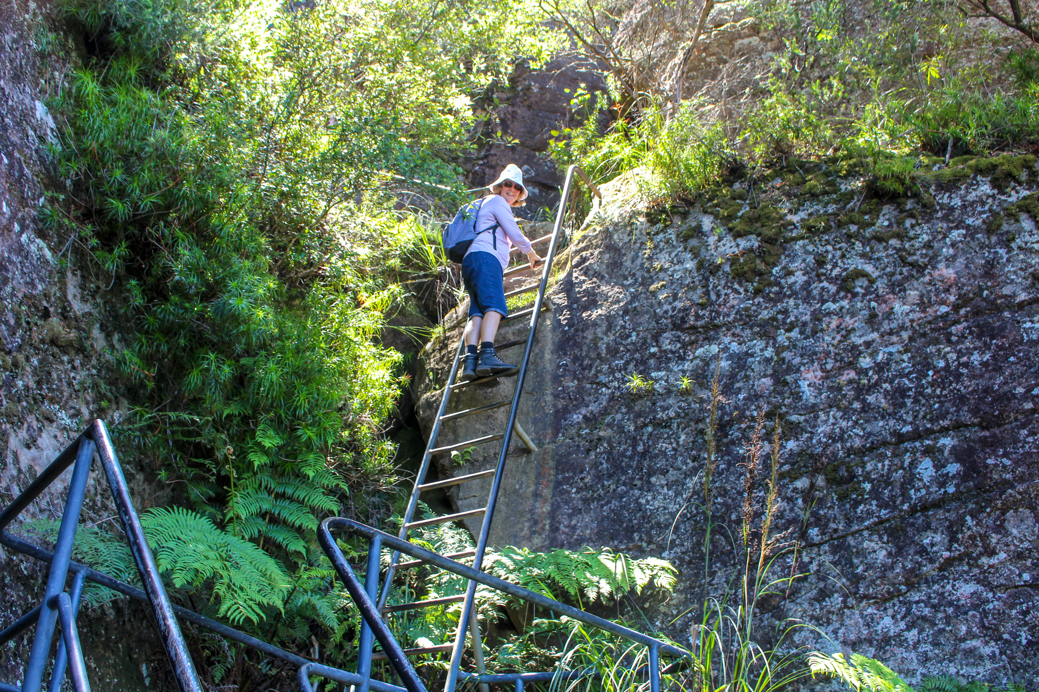 Ladder climb Pigeon House Mountain Didthul