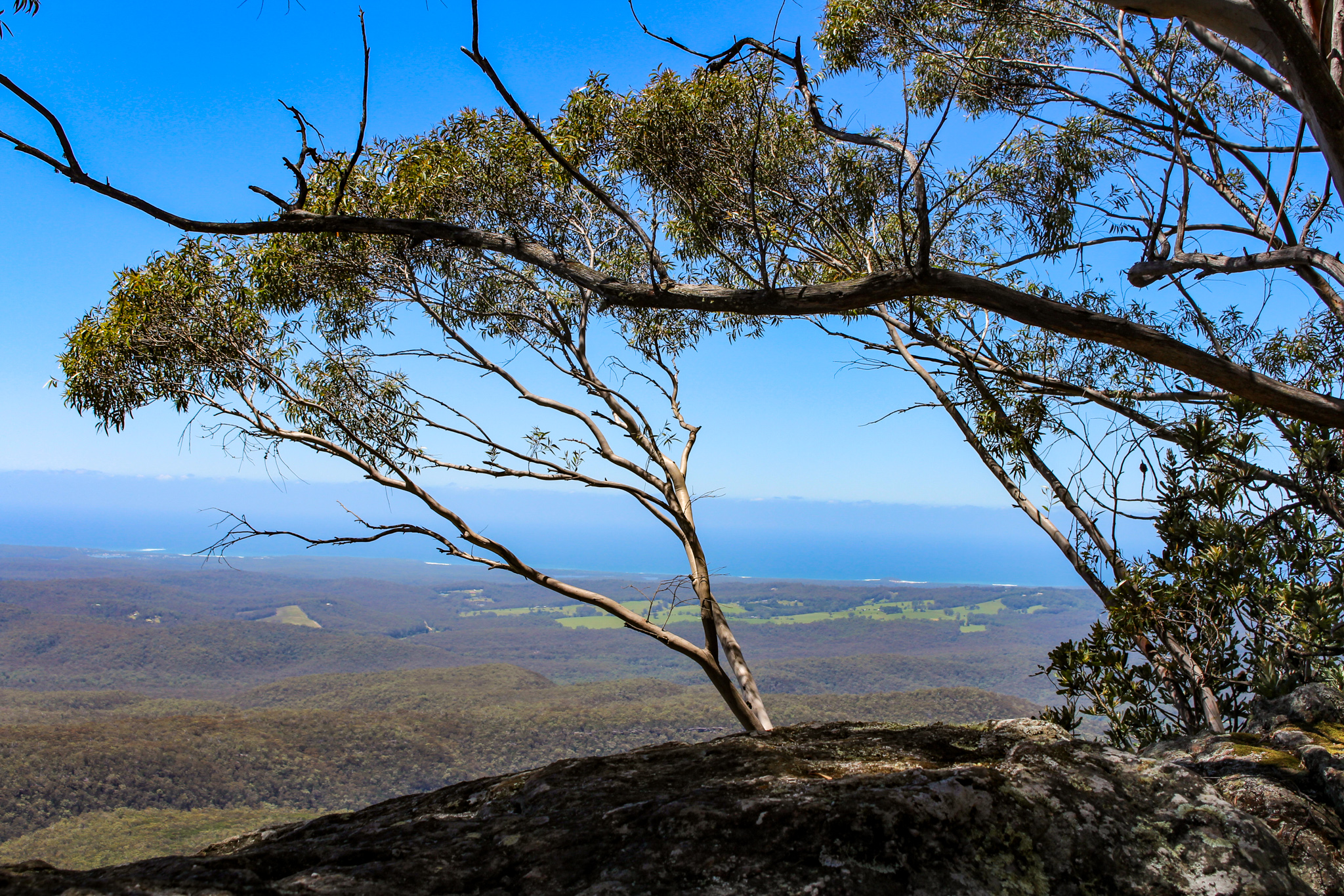 Coastal view from summit