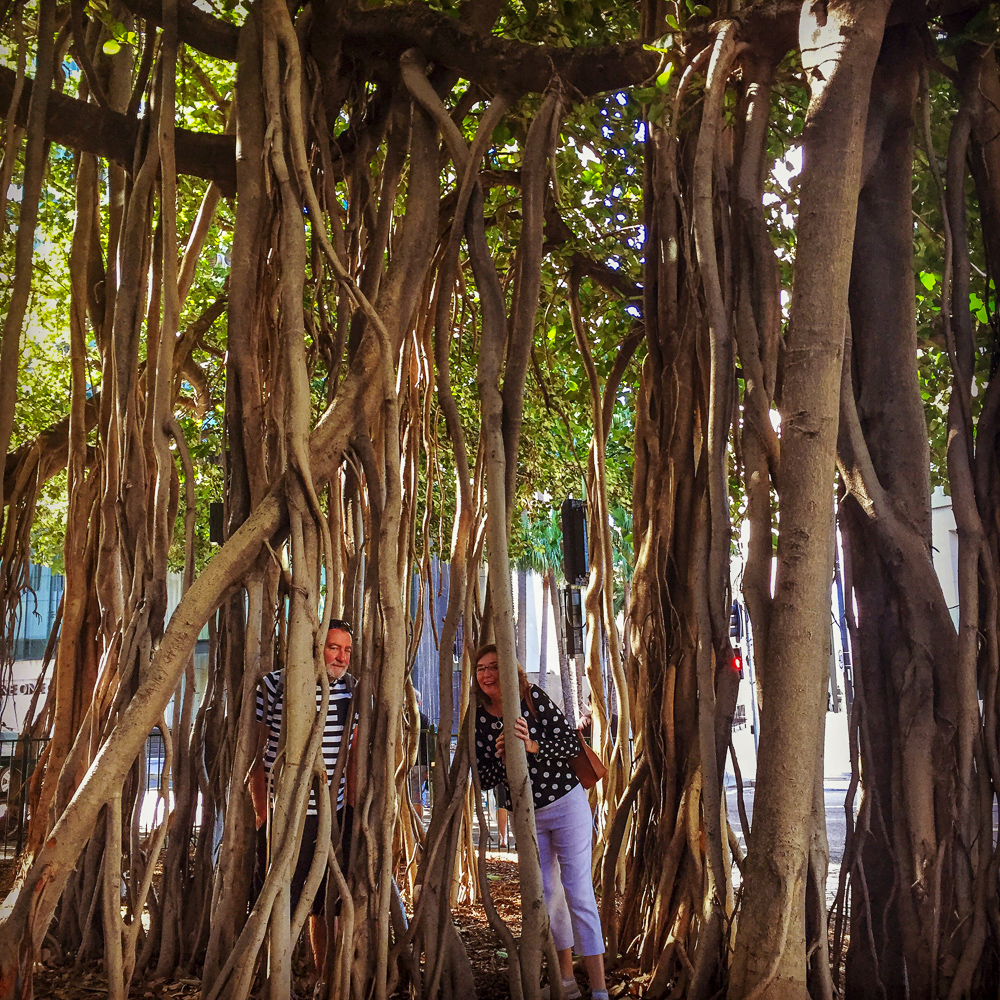 Us in the Bayan Tree roots
