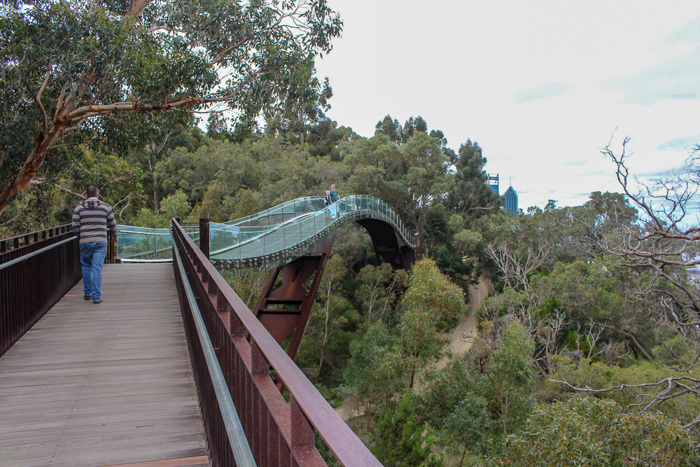 Tree Top bridge in Botanic Gardens Perth