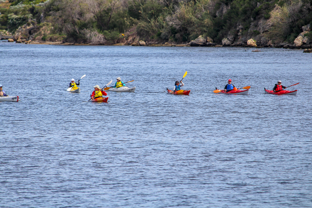 Group of people kayaking on Swan River, Perth