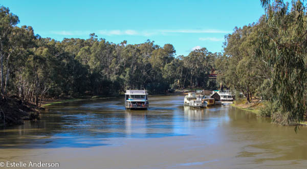 Paddle Steamers on Murray River