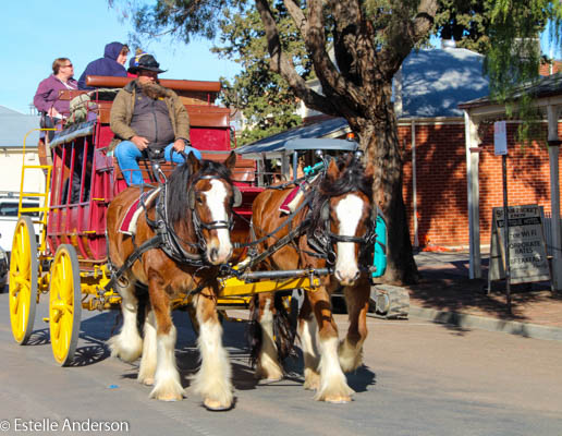 Horse drawn carriage, Port of Echuca