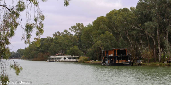 Paddle steamers on Murray River, Wentworth