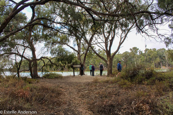 Junction Island - Broken Hill Road Trip