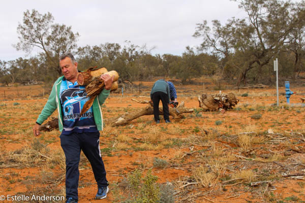 Gathering fire wood - Broken Hill Road Trip