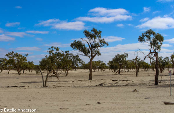 Desert - Broken Hill Road Trip